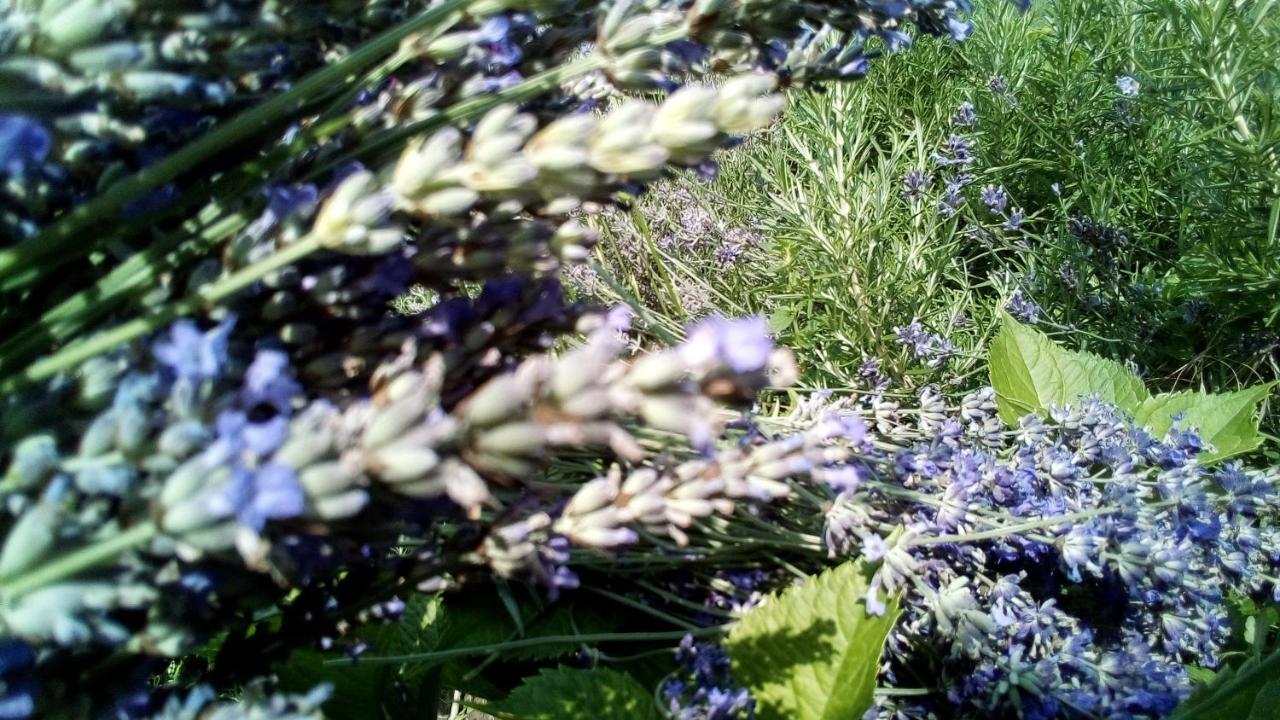 Soba Lavanda Кладово Екстериор снимка